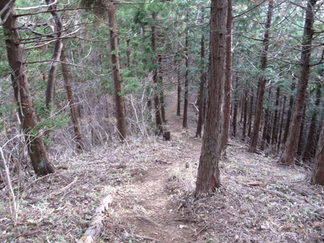 20181126hike (280)